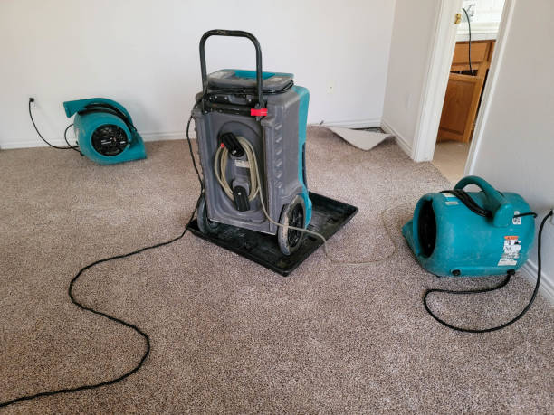 Best Water damage cleanup near me  in Summit, MS