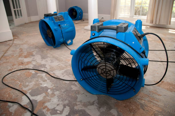 Best Emergency water damage restoration  in Summit, MS