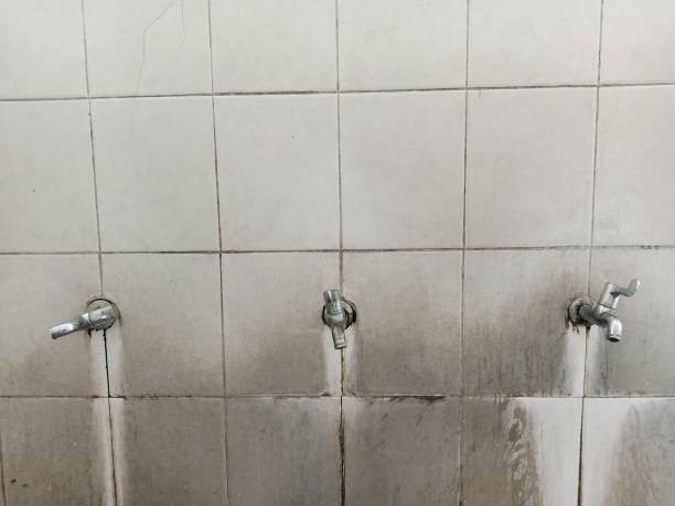 Best Ceiling water damage repair  in Summit, MS
