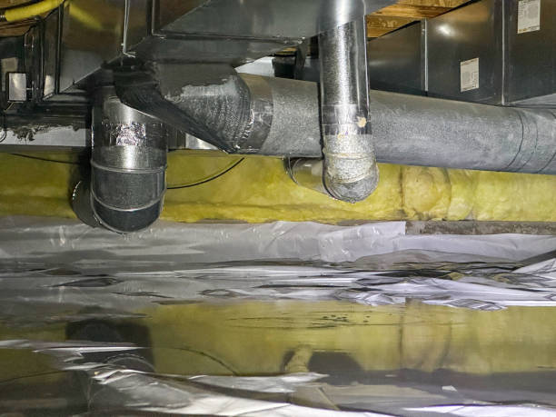 Best Water damage cleanup near me  in Summit, MS