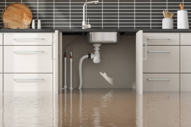 Best Flooded house restoration  in Summit, MS